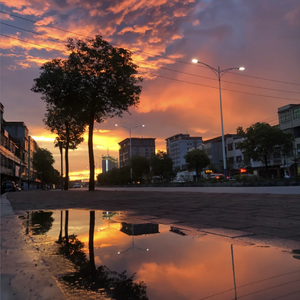 张柏芝露B毛高清图
